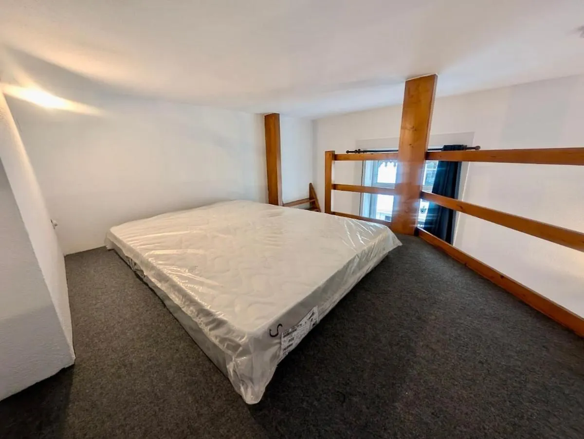 Appartement Central Studio - Alsace Lorraine & Train Station - Prime Location Near All Amenities Grenoble